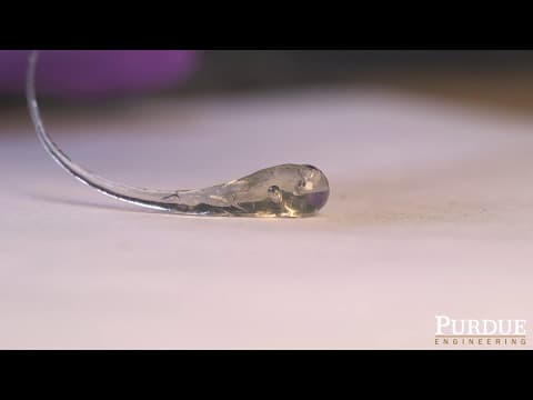 Kapka prince Ruprechta