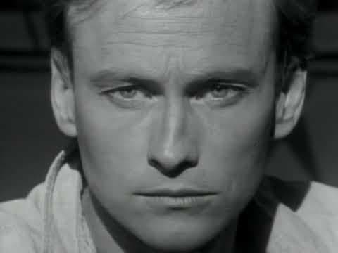 Mr. Mister – Broken Wings