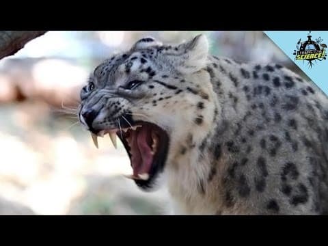 Aktuality ze světa vědy #3