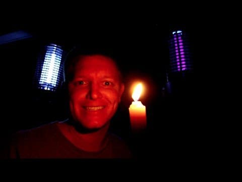 Proč lítá hmyz za světlem