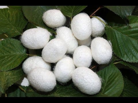 Ruční spřádání hedvábí