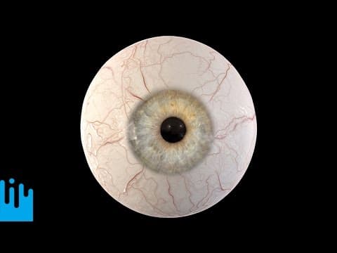 Novinky z vědy a techniky #110: Model oka