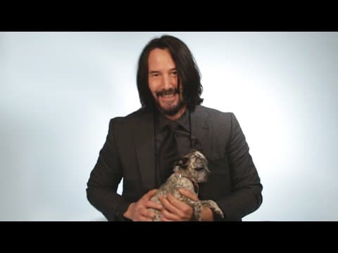 Keanu Reeves si hraje se štěňátky a odpovídá na dotazy
