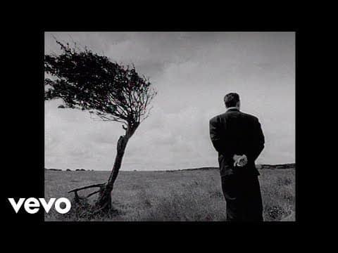 Black - Wonderful Life