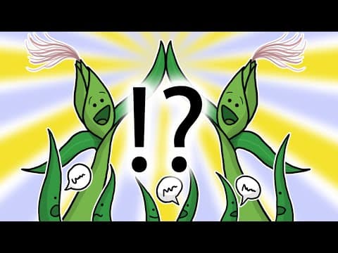 Tajný život rostlin