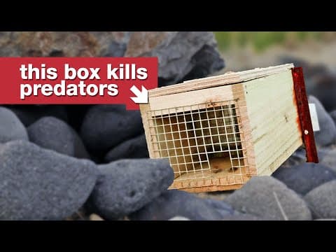 Nový Zéland se pokouší o nemožné