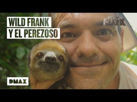 Seznamte se s Vasilem, brazilským lenochodem