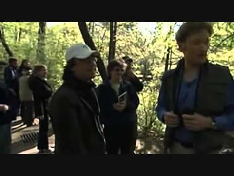 Conan pozoruje ptáky v Central Parku