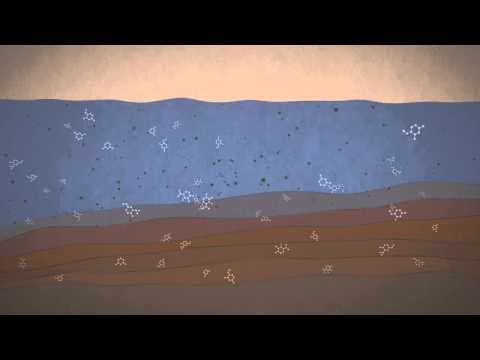 Proč Curiosity hledá organické látky?